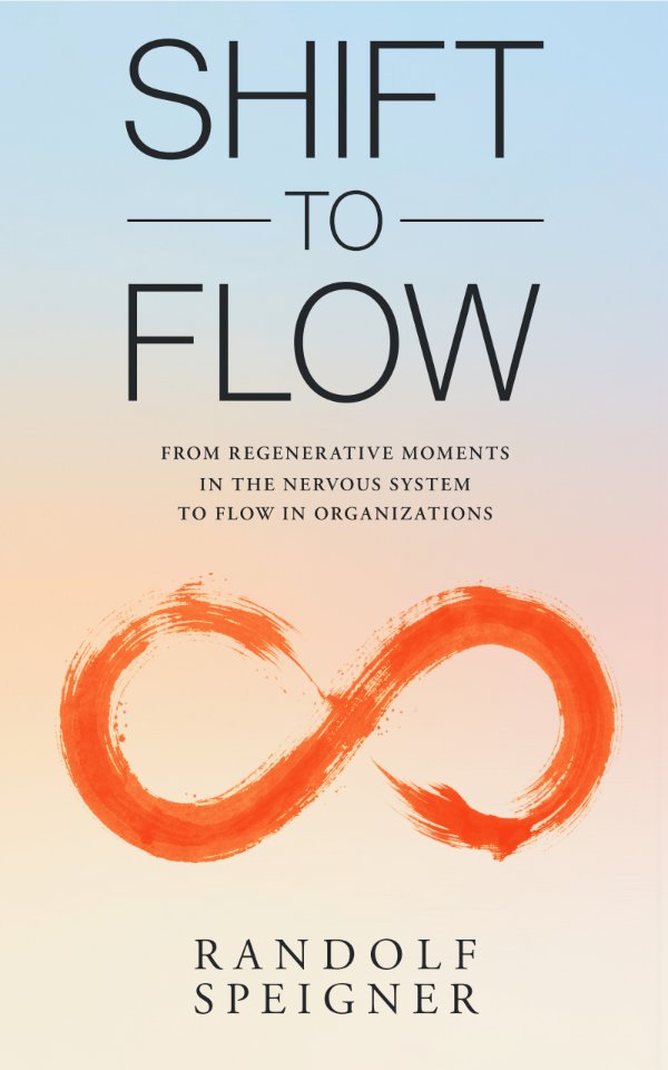 Shift to Flow — Buchcover, Randolf Speigner