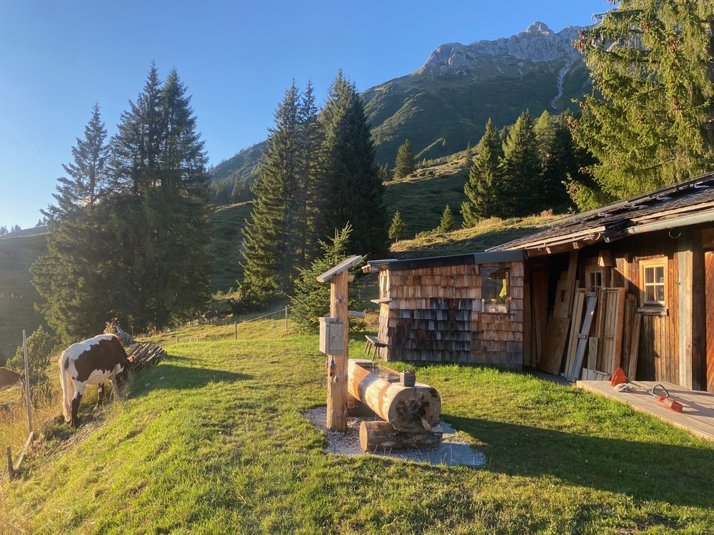 Die Hütte am Waldrand im Sommer