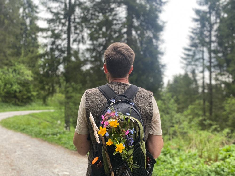 Unterwegs auf dem Weg in den Wald